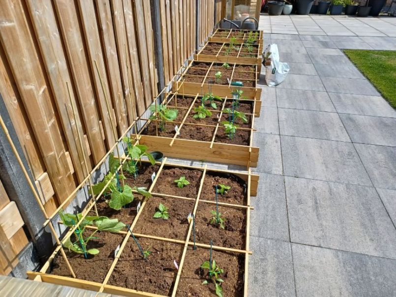 WhatsApp Image 2022-06-25 at 3.42.31 PM (2).jpeg