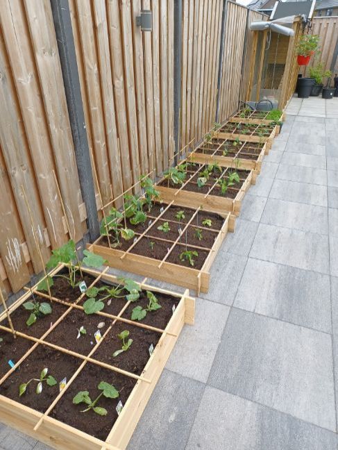 WhatsApp Image 2022-06-25 at 3.42.31 PM (4).jpeg