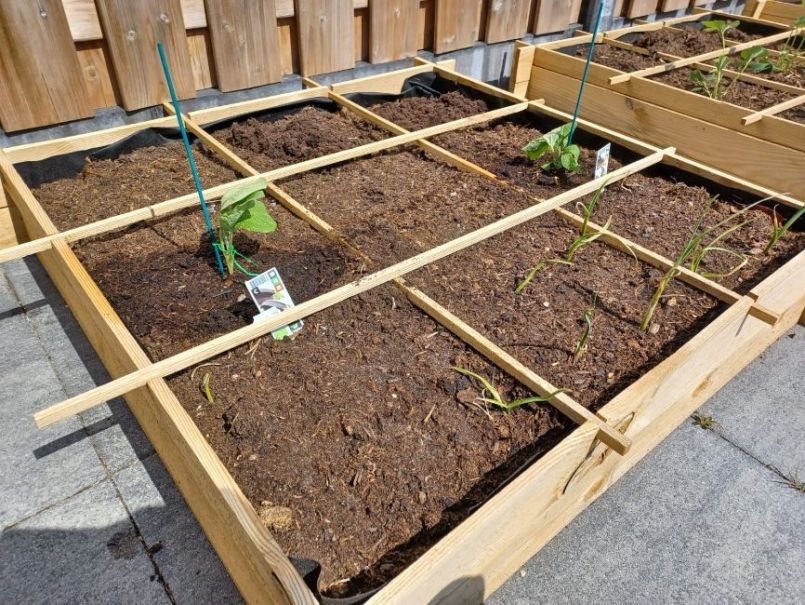 WhatsApp Image 2022-06-25 at 3.42.31 PM (1).jpeg