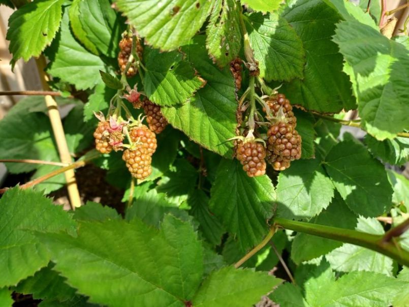 WhatsApp Image 2022-06-25 at 4.02.57 PM.jpeg