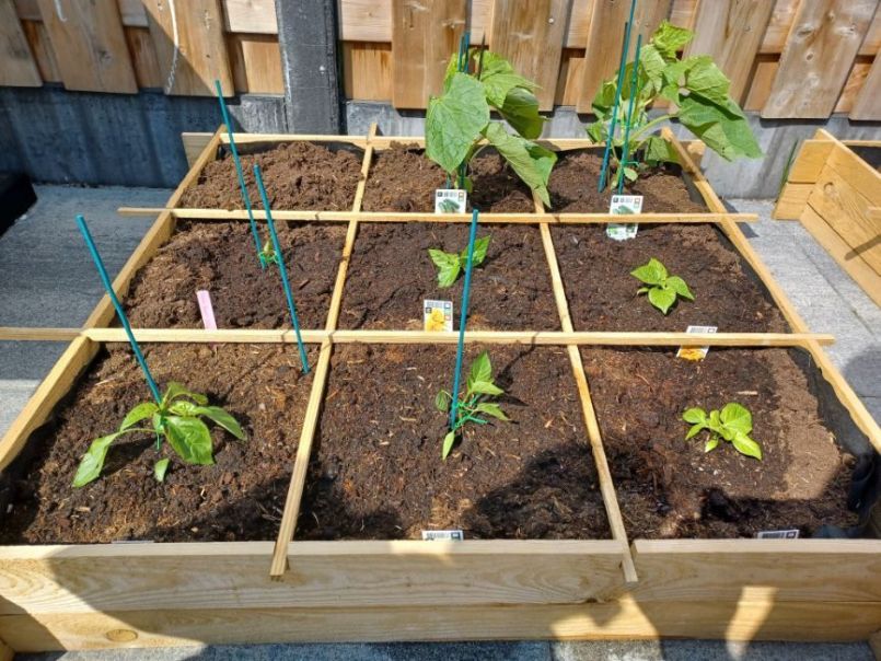 WhatsApp Image 2022-06-25 at 3.42.30 PM (3).jpeg