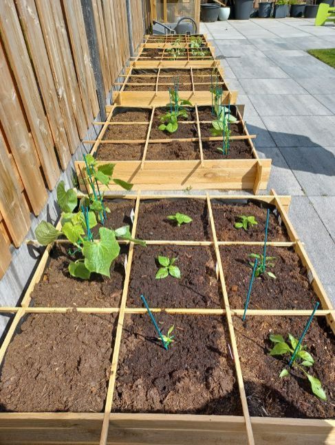 WhatsApp Image 2022-06-25 at 3.42.30 PM (4).jpeg