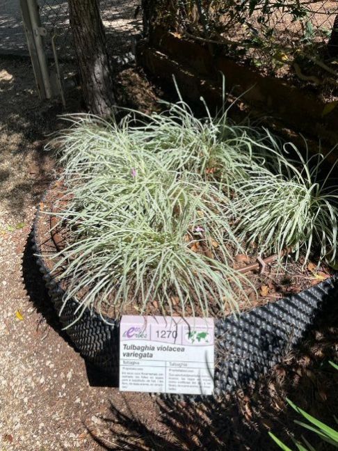 PHOTO-2022-06-02-11-17-21 (2).jpg