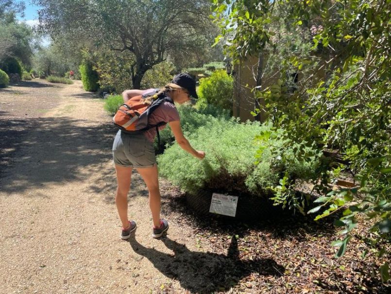 PHOTO-2022-06-02-11-17-21 (3).jpg