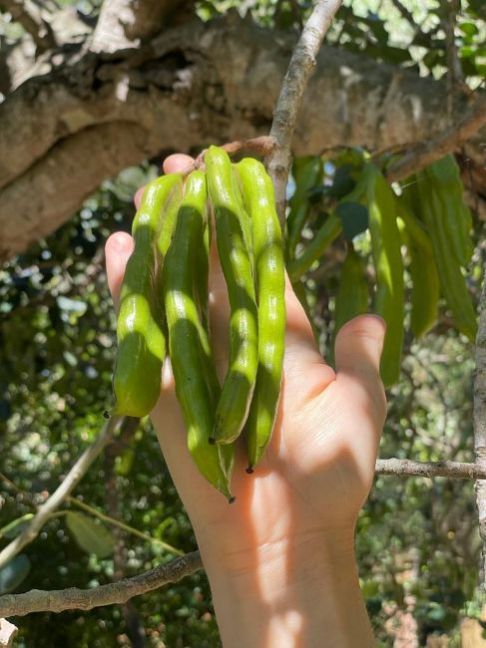 PHOTO-2022-06-02-11-17-21 (4).jpg