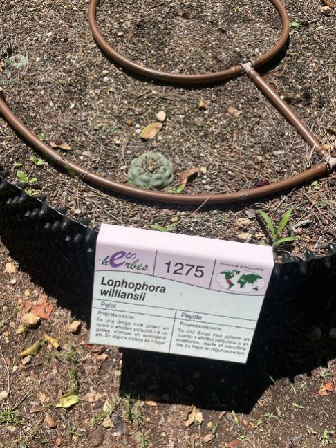 PHOTO-2022-06-02-11-17-21 (7).jpg