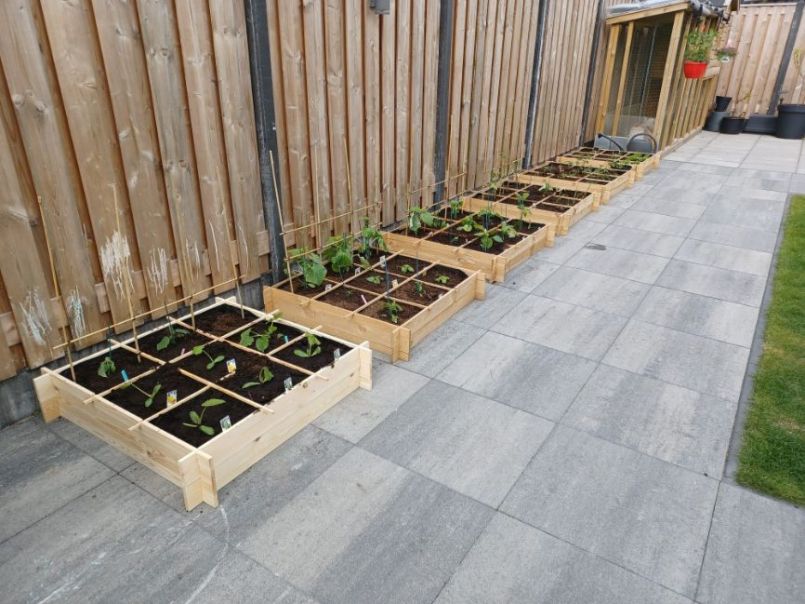 WhatsApp Image 2022-06-25 at 3.42.31 PM (3).jpeg