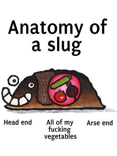 67.jpg.1e59da8c057bb0e077bd0f58842ab8d0.jpg