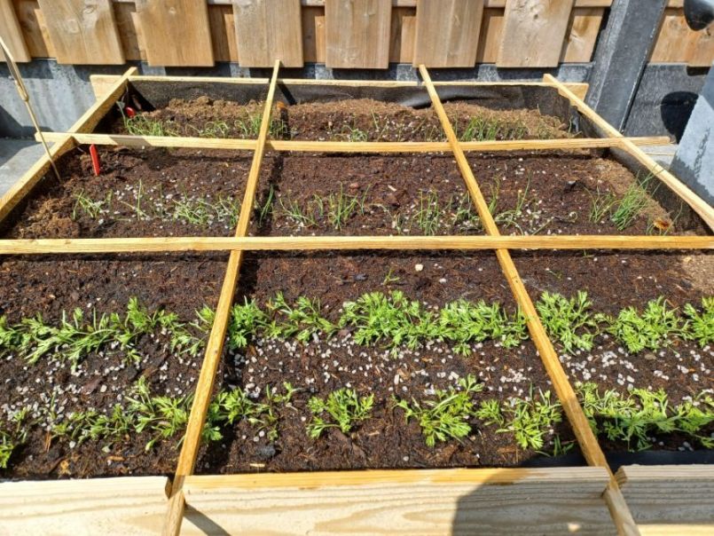 WhatsApp Image 2022-06-25 at 3.42.30 PM (1).jpeg