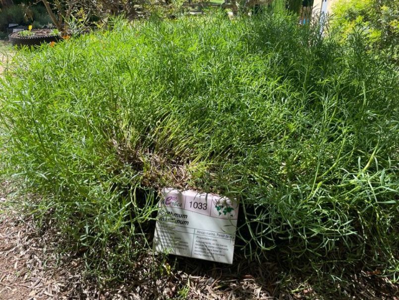 PHOTO-2022-06-02-11-17-21 (5).jpg