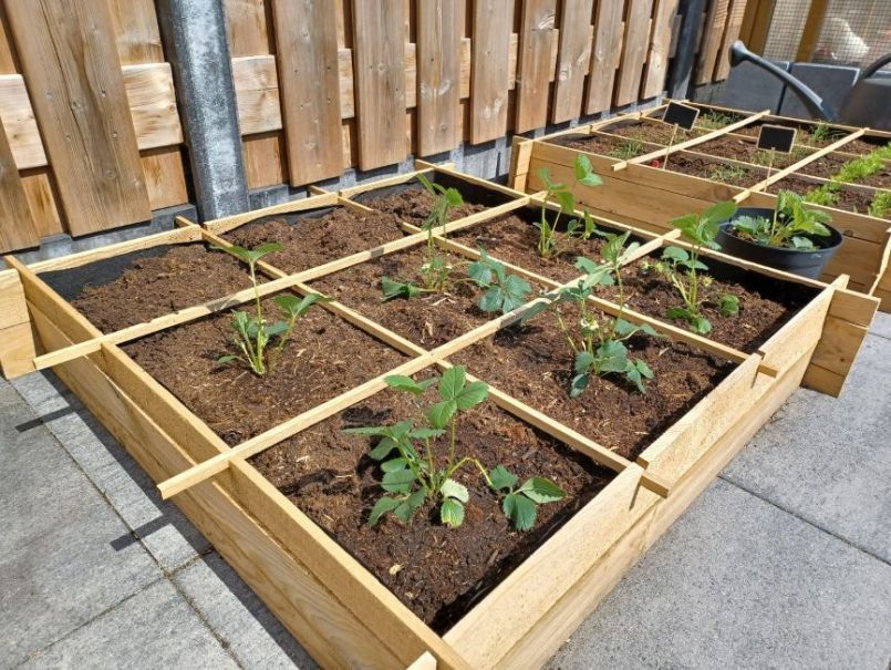 WhatsApp Image 2022-06-25 at 3.42.31 PM.jpeg