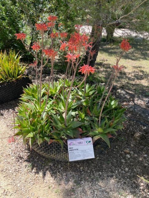 PHOTO-2022-06-02-11-17-21 (6).jpg