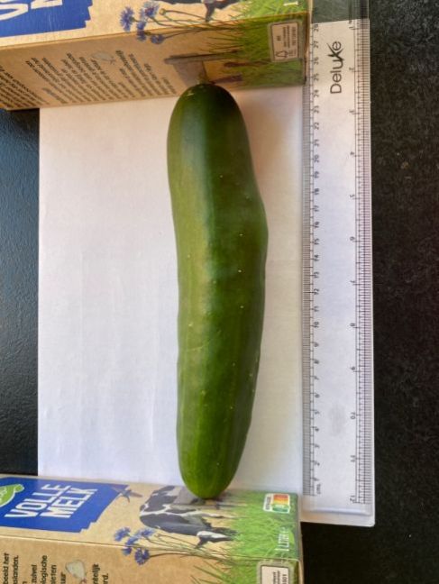 A9A8333A-A601-4692-87A4-351F4BDB2D75.thumb.jpeg.2d13fd05fc11c28892f2f4917462df60.jpeg
