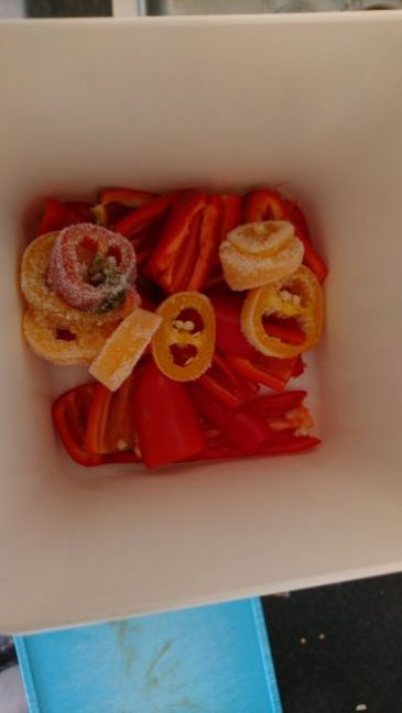 DSC_0928.JPG