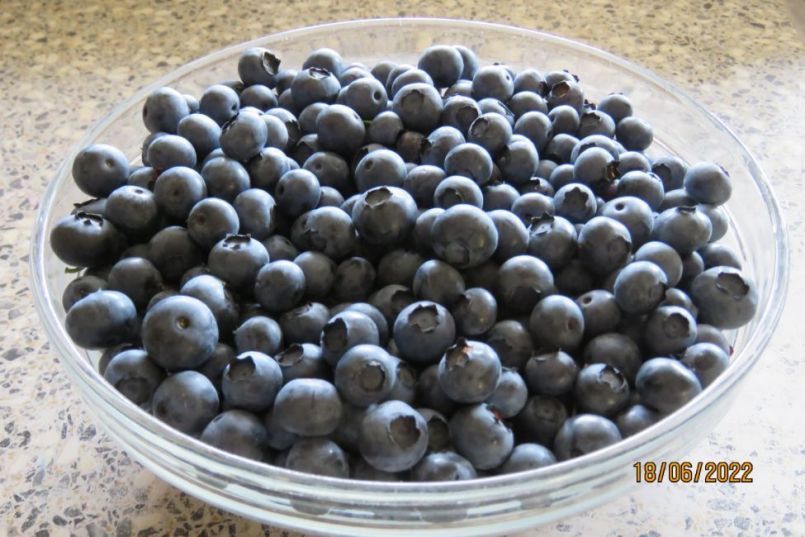 blauwebes14.thumb.JPG.b96acb3baebb8084991bd8f34039764f.JPG