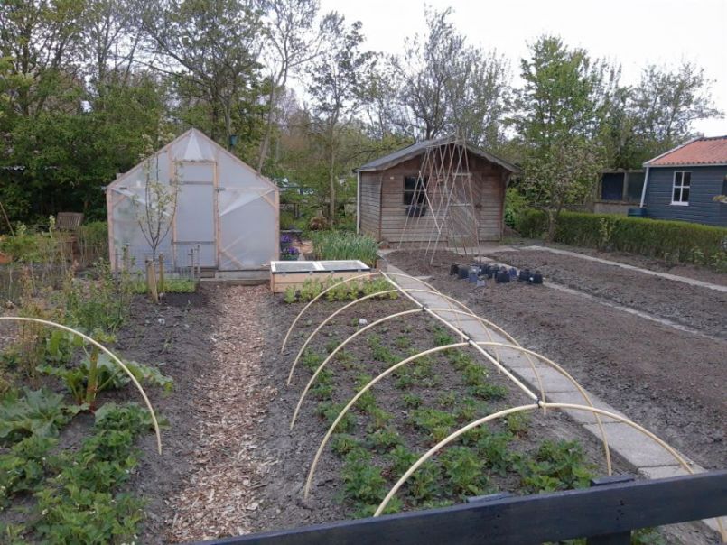tuin.jpg