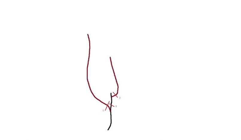 13FDFEBC-C292-4C1C-B701-2072AD136E20.jpeg