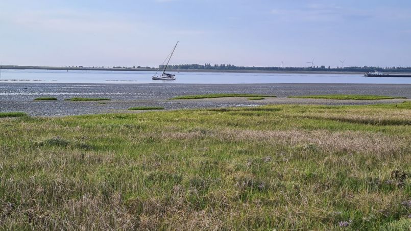 20220624_BootjeVast.jpg