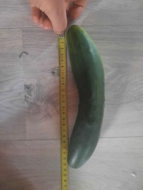 20220713_211321.jpg