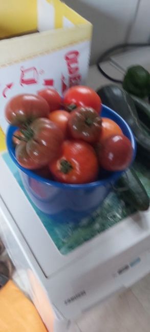 20220721_105050.jpg
