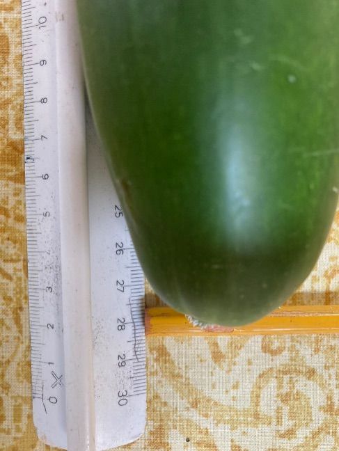 B13C28F8-CB74-4929-B156-55B285D3483B.thumb.jpeg.48f65fac4e611df43c3e0a287cf4fb69.jpeg