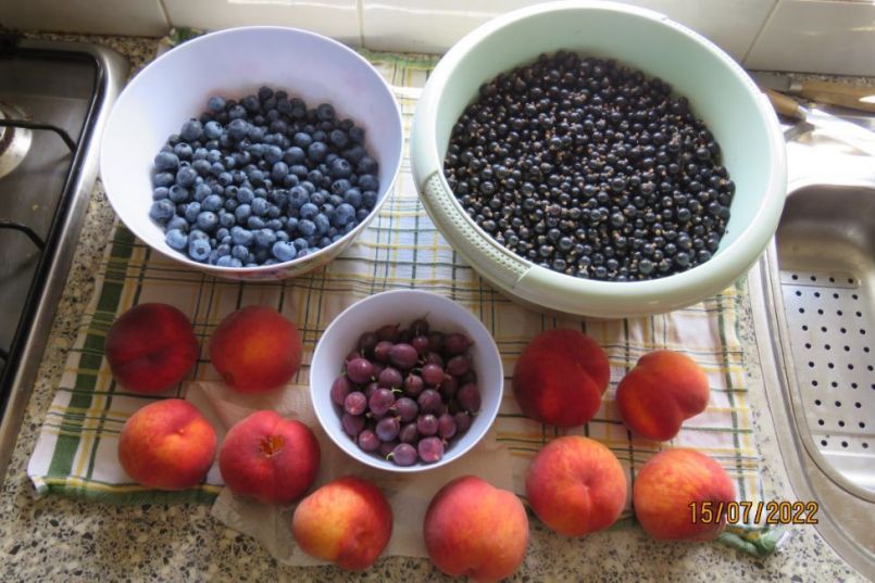fruitoogst.thumb.JPG.b9cbc82087480ae216604bf281a67a1a.JPG