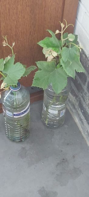 20220817_171411.jpg