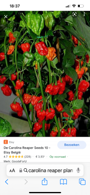 6B7A3D88-39A0-49EB-A11C-C0D94645879F.thumb.png.c5d12412fa4e76cefb6d5f96939689e9.png