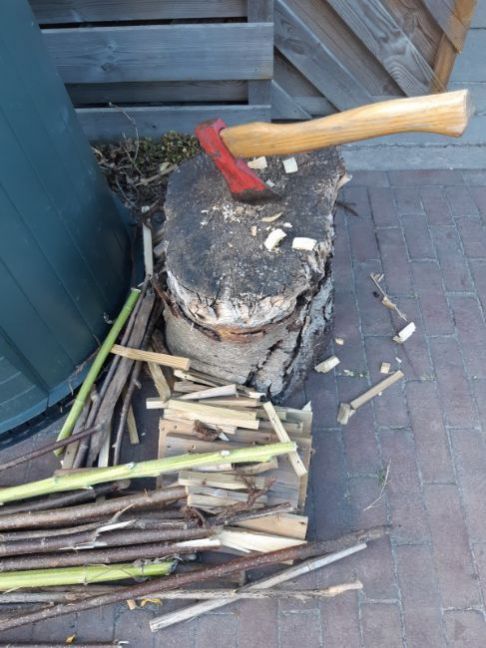 hakbijl.jpg