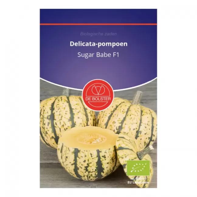 De_Bolster_Delicata-pompoen_Sugar_Babe_F1_1686_896x896.thumb.webp.acc1dcab494fa618bdccf34dc6921e99.webp