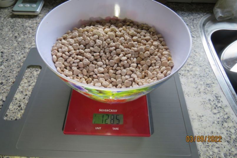 lupine15.thumb.JPG.02dbc2ebd9267b590f50d22230d58491.JPG