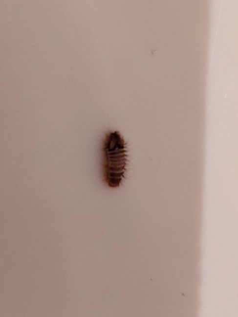 2022-10-11 18.35.28-2.jpg