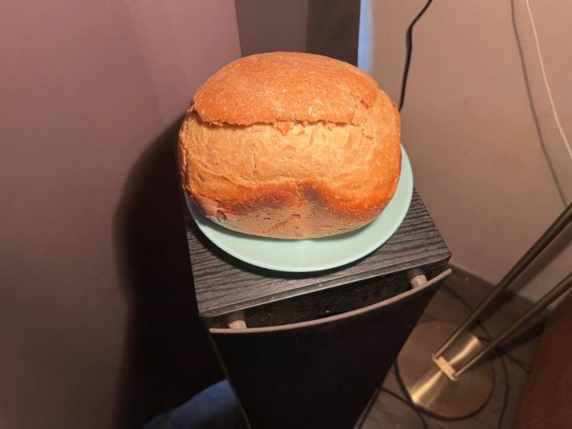 3A4A82DF-8761-4A64-BED2-0E7AB84459ED.jpeg