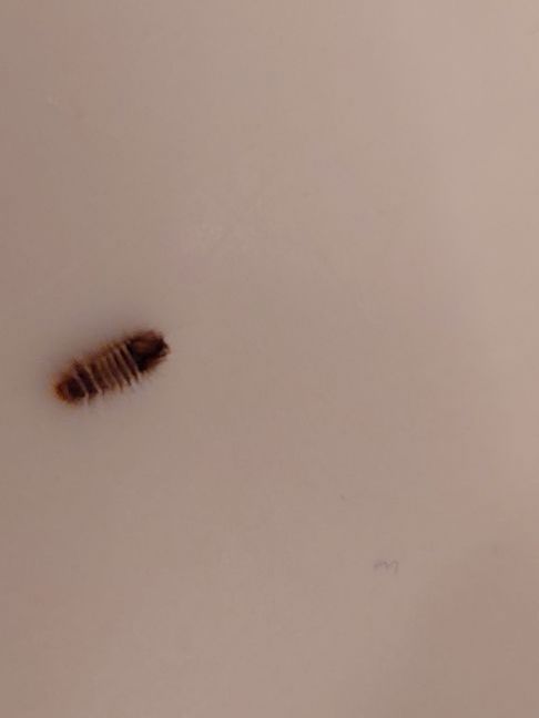 2022-10-11 18.35.41-2.jpg