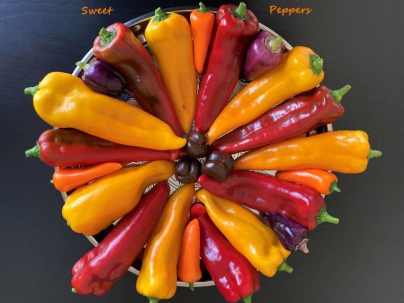 649742676_012022-10-15SweetPeppers01.thumb.JPG.136fa33dab10e46118ae49b4c271bffa.JPG