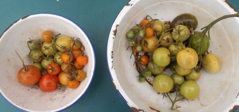 20221111_152658 (2).jpg