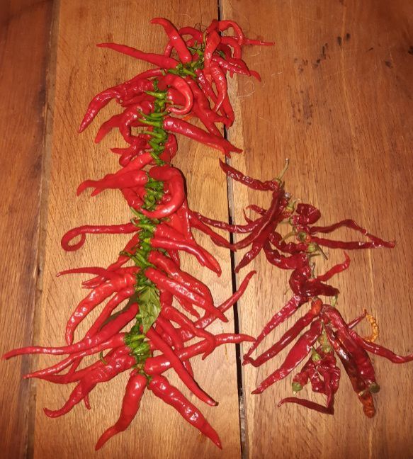 20221106_161633 (2).jpg