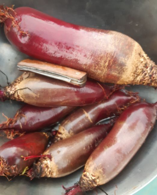 20221108_152920 (2).jpg