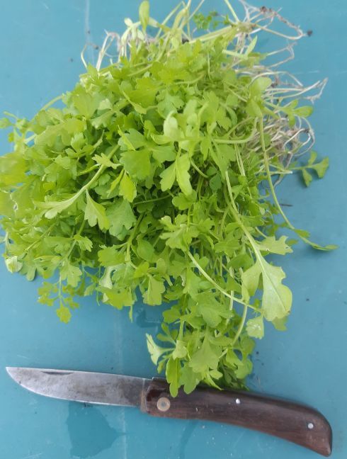 20221108_153638 (2).jpg