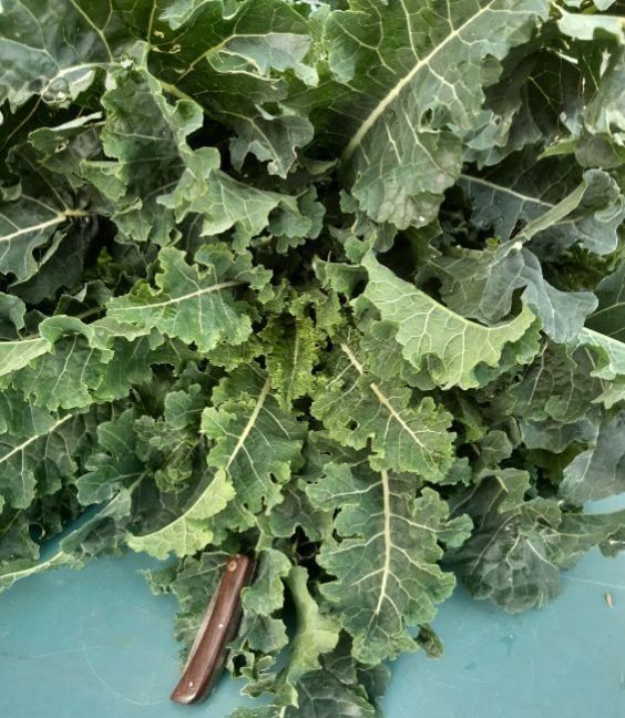 20221105_131211 (2).jpg