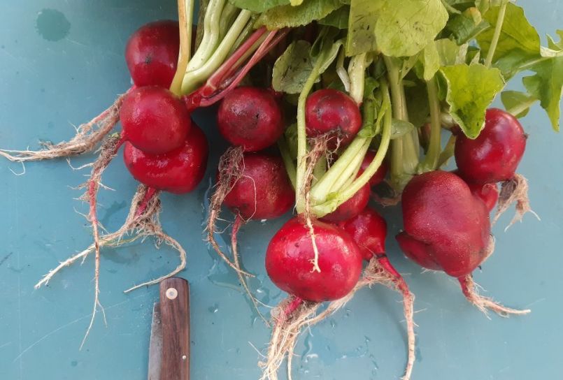 20221104_143753 (2).jpg