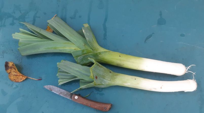 20221104_153240 (2).jpg