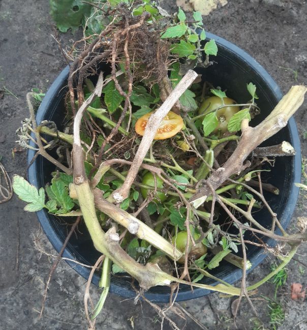 20221111_152424 (2).jpg