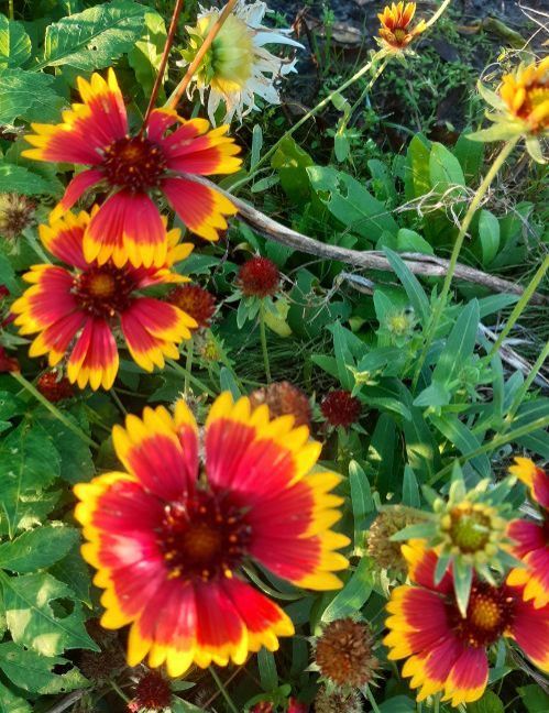 20221112_145519 (2).jpg