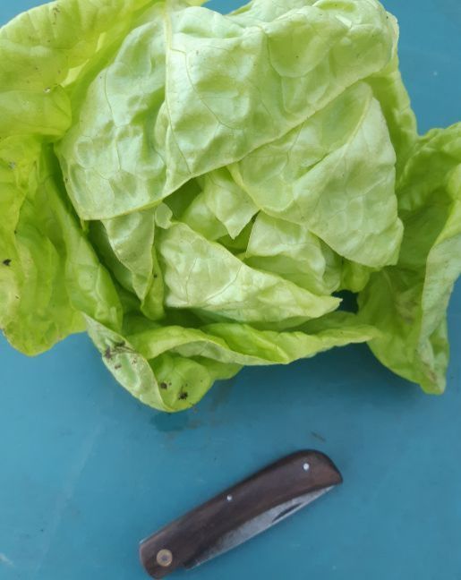 20221108_153356 (2).jpg