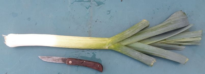 20221108_154219 (2).jpg