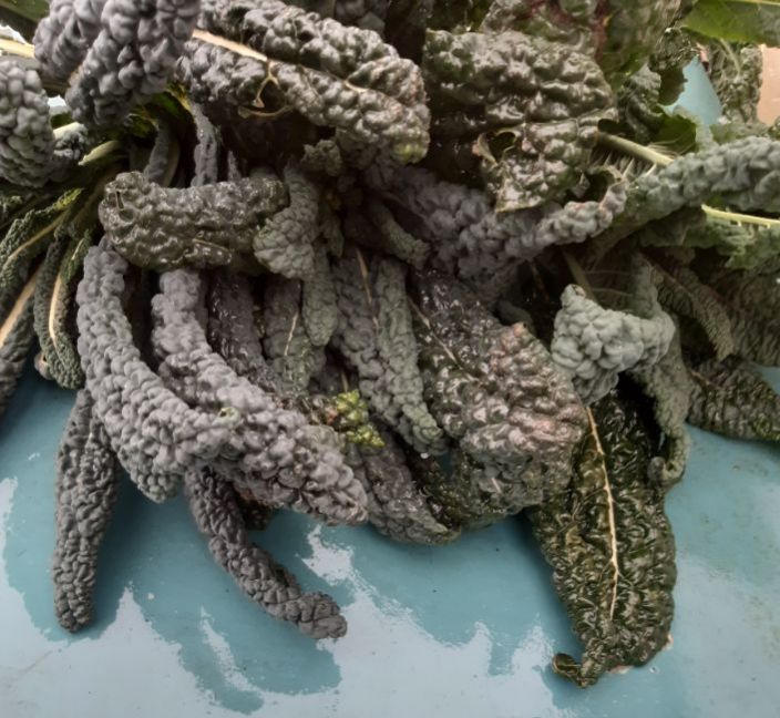 20221225_132027 (2).jpg