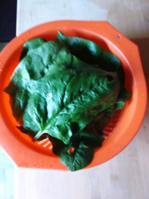 20221207_103817.jpg