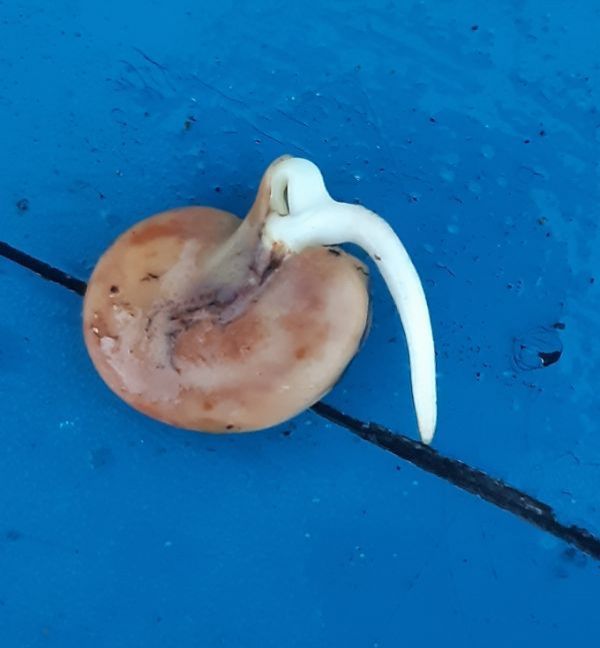 20221224_163840 (2).jpg