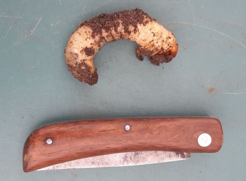 20230125_124741 (2).jpg